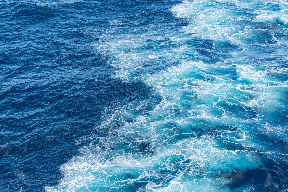Descobertas Inusitadas no Oceano: O Mundo Perdido