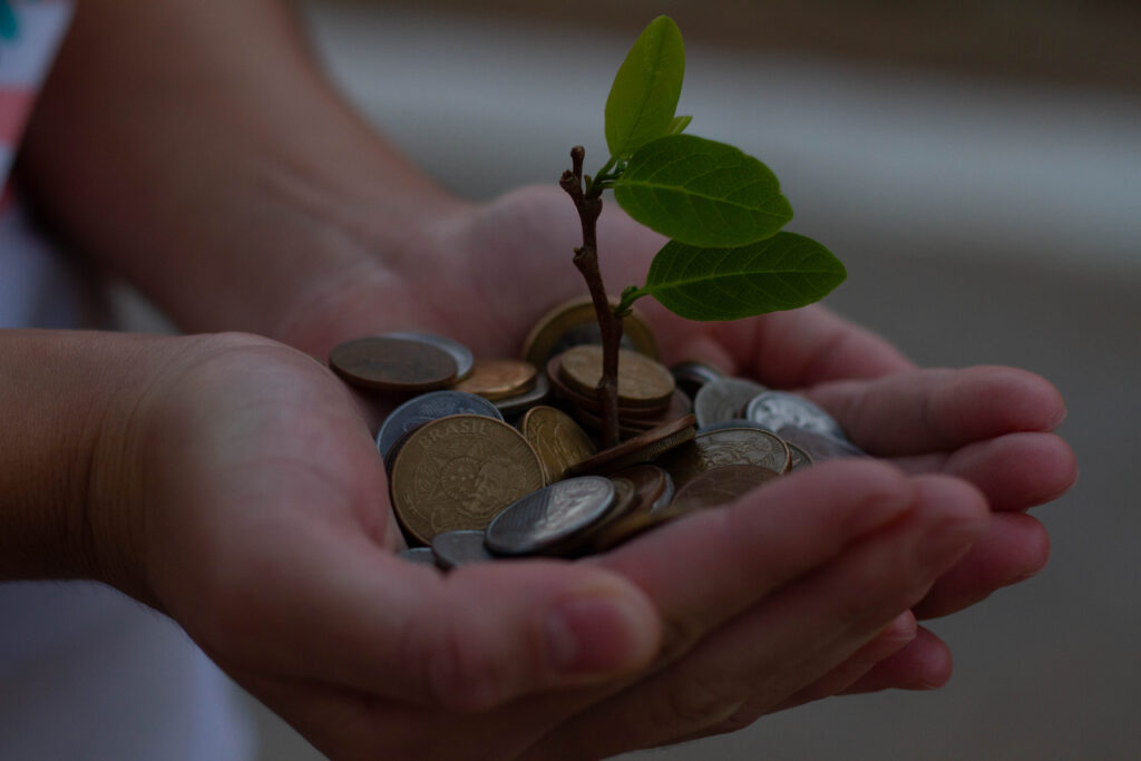 Novas Linhas de Crédito do Sebrae: Como Solicitar e Garantir Financiamento em 2025